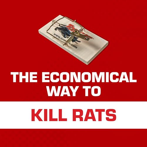 Image of Tomcat Wooden Rat Traps - Disposable Non-Chemical Rat Trap for Homes, Garages and Basements, Single Pack