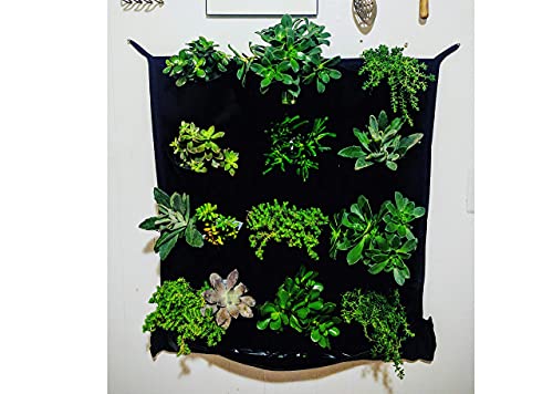 Delectable Garden 12 Pocket Indoor Waterproof Vertical Living Wall Planter, Multicolor - Image 3