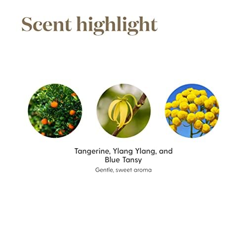 Amazon.com: Young Living Peace and Calming 15ml - Aromatherapy for