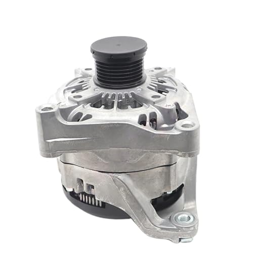 Roue libre d'alternateur 104210-6400 12317605061 pour F30 F25 2.0L - Pièce de rechange