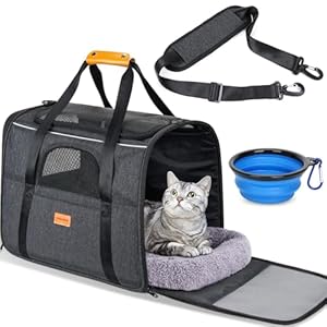 Morpilot Cat Carrier – Cat Carrier Soft for Medium or Large Cats up to 20lbs, with Dual-Sided Cushion, Secure Buckle and Foldable Bowl, Dog Carriers for Small Dogs – Pet Carrier (Dark Gray)