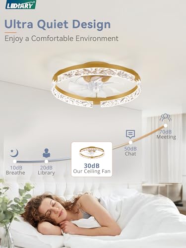 Image of LEDIARY 20 inch Low Profile Ceiling Fans with Lights, APP & Remote, Gold