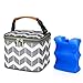 BABEYER Insulated Bottle Cooler Bag with Ice Pack Fits 4 Large Baby Bottles Up to 5 Ounce, Great for Nursing Mom Daycare