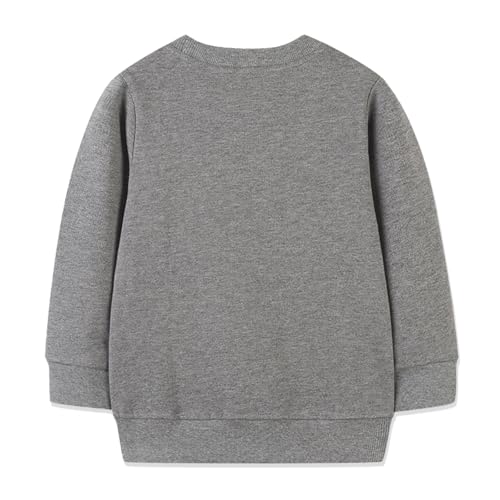 WEILAEIR Toddler Boy Long Sleeve Cartoon Pullover Crewneck Sweatshirt Tops Cartoon Shirt2