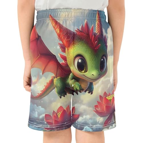 Cute Dragon Animal Print Shorts Summer for Boys Elastic Waist Sweat Shorts Print Outdoor Trunks 7-83