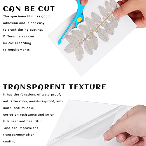 Film di Laminazione a Freddo, XiXiRan Fogli di