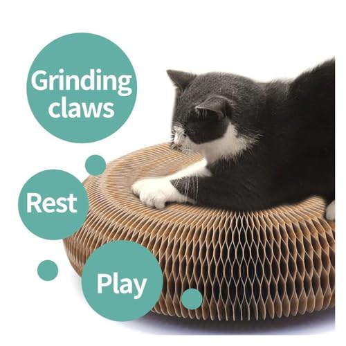 Griffoir pliable pour chat avec boule de piste et carton extensible - 8