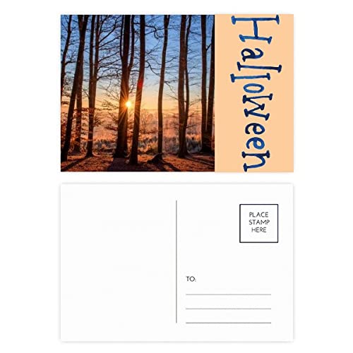 Cartes postales Halloween forêt sombre lot de 20 pour invitation et correspondance automnale