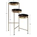 Kate and Laurel Finn Tri-Level Metal Plant Stand, Black and Gold, Decorative Hinged Tray Stand Display