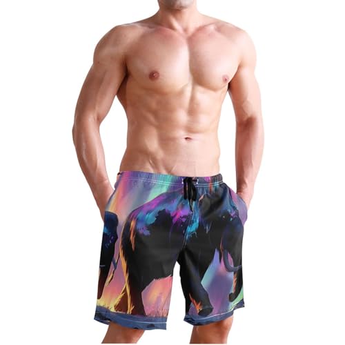 Men's Swim Trunks Aurora Elephants Print, Quick Dry Beach Board Shorts with Lining-S3