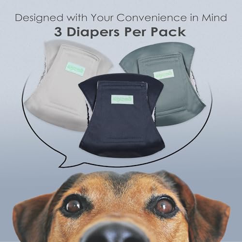 Image of wegreeco Washable Male Dog Belly Band (Stylish Pattern)- Pack of 3 - Washable Male Dog Belly Wrap, Dog Diapers Male (Blue, Green, Champagne, X-Small)