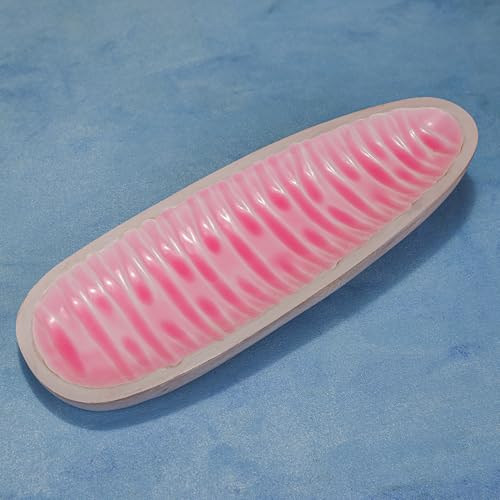 Image of Pretty in Pink Serving Platter | Pink & White Enamel Coating | Multipurpose Platter for Snacks, Fruits & Desserts | Decorative Tableware