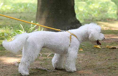Hundegeschirr Kleine Hunde Leder Verstellbar feiling Hundegeschirr Welpen Brustgeschirr Haustier Ausbruchsicher Katzengeschirr Ledergeschirr Weichem mit 1.3m Hundeleine Leder (Grün)