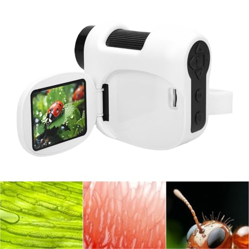 Microscope numérique portable pour observation en nature et écran DV - 4