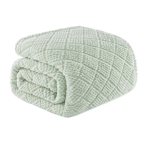 Whale Flotilla Kuscheldecke, Leichte Fleecedecke Sofadecke, Weiche, Warme & Flauschige Waffeldecken für Jede Jahreszeit, 150X200CM, Hellgrün