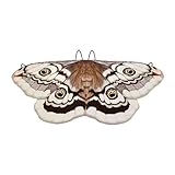 Dualoai Halloween Umhang, Kinderkostüm, Kostümparty, Cosplay, Kaffee 145 Cm