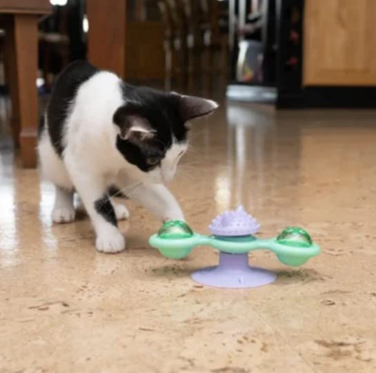 PawsnCollars NALA Suction Spinner Cat Toy Interactive Cat Toys Ball Funny Toy with Suction Cup Portable, Pet Exercise Smart Cat Toy with Spinning Catnip Balls (1 Piece)