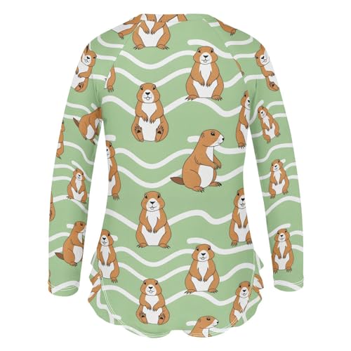 Gopher Pattern on Green Girls Rash Guard Swimsuits Long Sleeve One Pieces Bathing Suit UPF 50+ Zipper Swimwear3