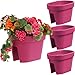 Produktbild botle Satz von 3 Stück Balkonkiste Blumenkasten Geländerkasten Balkonkasten Geländertopf 39,5 cm | 12,3 L Fuchsia Balkon-Blumenkasten oval