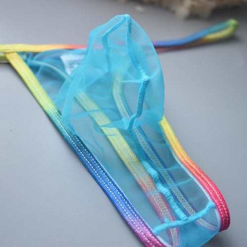 Mens Sexy Mesh Thong Transparent Low Rise G-String Pouch Underpants Stretch T-Back Briefs 2025 Fashion Y2K3