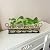THYGIFTREE Plant Propagation Stations with Metal Stand, Tabletop Plant Terrarium for Propagating Hydroponic
