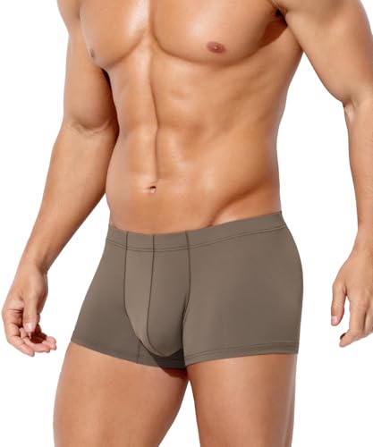 Arjen Kroos Mens Sexy Underwear Boxer Briefs Ice Silk Low Rise Trunks Brown