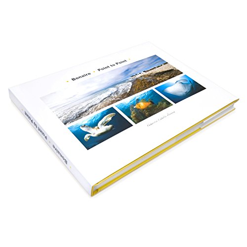 Bonaire · Point to Point