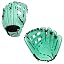 Mint/Black - H Web