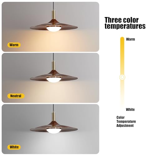 Luces colgantes ajustables LED de 10W para dormitorio sala de estar y techos modernos 7