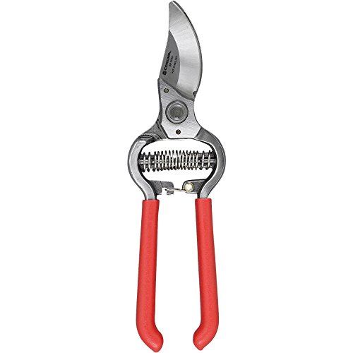Best Corona Hand Pruners of 2025: Detailed Reviews and Buyer’s Guide