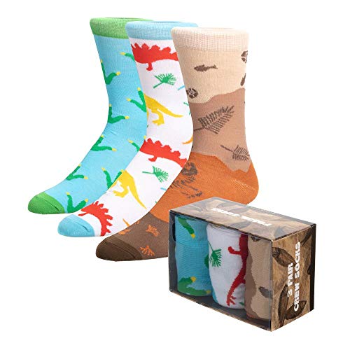 Dinosaur Fossil 3 Pair Crew Box Set