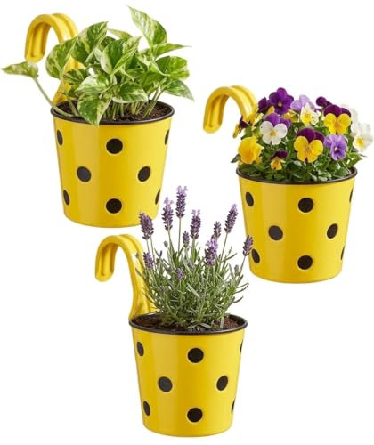 Image of Premium Hook Planter with Inner Pot | Polka Dot Hanging Planter for Balcony & Railings | Sturdy Plastic | Built-in Drainage | Vibrant Colours | Indoor & Outdoor Gardening (3, Yellow)