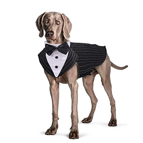 Rozkitch Dog Costume, Dog Tuxedo Costume With Collar Bandana Bow Tie Set For Wedding, Pet Tuxedo Suit For Small Dog, Formal Party Shirt Halloween Birthday Cosplay Elegant Dog Apparel Black Stripe #TOP20