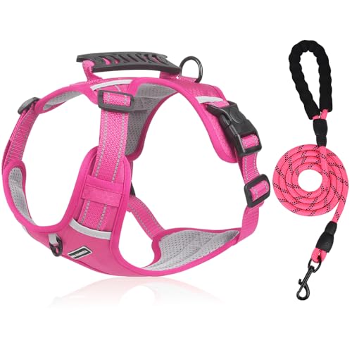 Mascotas, Imagen adicional