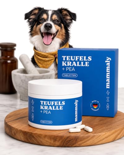 mammaly Teufelskralle (50%) & PEA (47 5%) - Gelenktabletten Hund hochdosiert - für Gelenke Hunde & Beweglichkeit - Unterstützung der Gelenkfunktion & Bewegungsapparat - 60 Tabletten bis zu 2 Monate