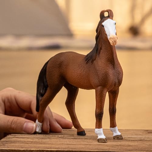 schleich HORSE CLUB | Klacz Marwari 14897 | Szczegółowa figurka konia | Prezent dla dziewczynek i chłopców | Zabawka dla dzieci od 5 lat | 12 × 4 × 12 cm