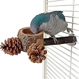 Sittich-Sitzstangen – Haustier-Futterstation, Spielzeug, Käfigzubehör, natürliche Vogelsitzstangen, Kanarienvögel, Kanarienvögel, Kanarienvögel, Kakadu, Finken, Futtertraining