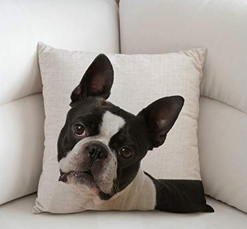 Swono SWONO-PILLOW-1130 French Bulldog Decorative Throw Pillow Cover Case,Boston Terrier Cotton Linen Outdoor Pillow Cases Square Standard Cushion Cover thumb #1