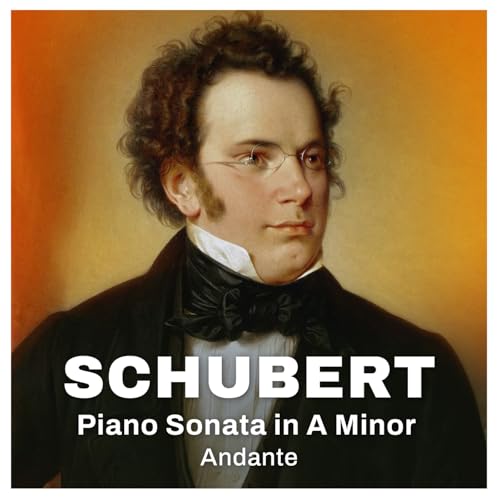 Play Schubert: Piano Sonata in A Minor - Andante (Excerpt) by Franz ...