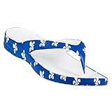 DAWGS Flip Flop Sandals, Flag Collection/Fleur De Lis/Blue, 11