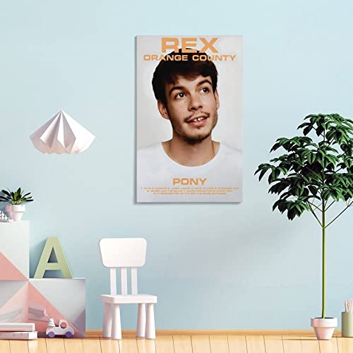 Impression sur toile Rex Orange County Pony 50x75 cm poster chambre - 4