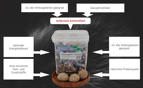 Anhaltiner Meisenknödel 30 Stück ohne Netz mit Insekten Vogelfutter Wildvogelfutter Meisenfutter eigene Produktion Herstellung in Deutschland