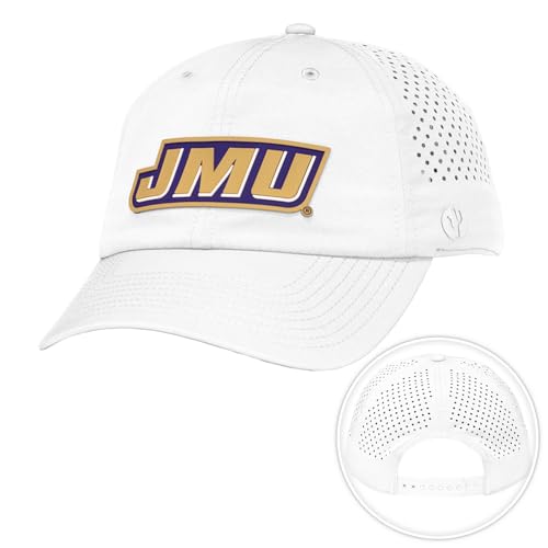 Desert Cactus James Madison Gorra Snapback con Cierre Ajustable
