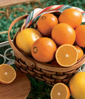 Honeybell Oranges (Tangelos) 1/4 Bushel