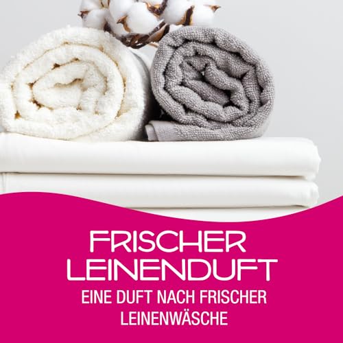 California Scents Auto-Lufterfrischer-Sortiment Car Scents – 4er-Pack, Auto-Lufterfrischer-Sortimentpackung, ideal für Autos, LKWs und SUVs