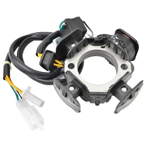 Bobine de stator pour Kawasaki KLX125 avec isolation renforcée
