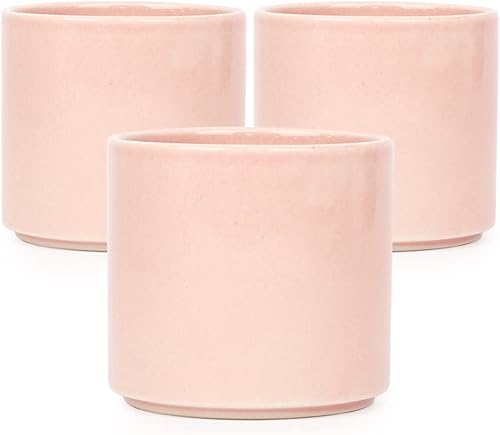 Juego de 12 macetas de cerámica blanca para suculentas y cactus con agujero de drenaje, 2 pulgadas 3 pulgadas, (6 macetas de 2 pulgadas y 6 macetas