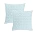 Decoratea Housses de coussin 60 x 60 cm - Housses de coussin décoratives jacquard (lot de 2) pour canapé, lit, terrasse, salon, taies d'oreiller carrées, douces et modernes (feuilles bleues)
