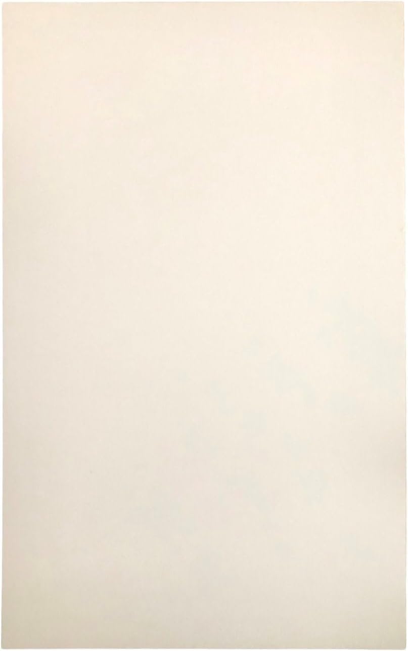 2x Leggera Lavagna Magnetica da Parete in Acciaio Bianca 66x42 cm, Memo-Board, Pannello Magnetico per Calamite, Lavagna da Cucina, Ufficio, Camera dei Bambini