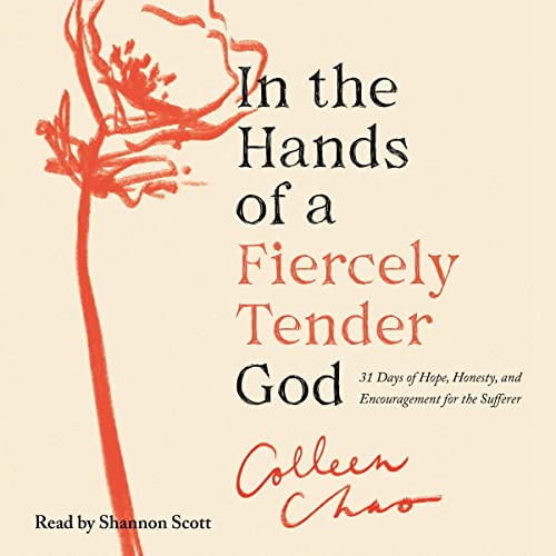 In the Hands of a Fiercely Tender God by Colleen Chao episode artwork